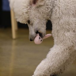 photograph by PeterW